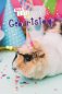 Preview: 109178