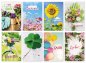 Preview: 109181